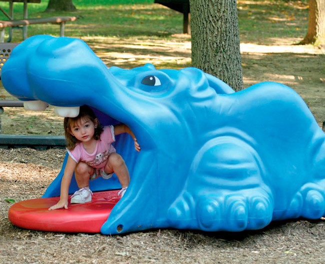 Harry Hipopótamo - Imagen 2