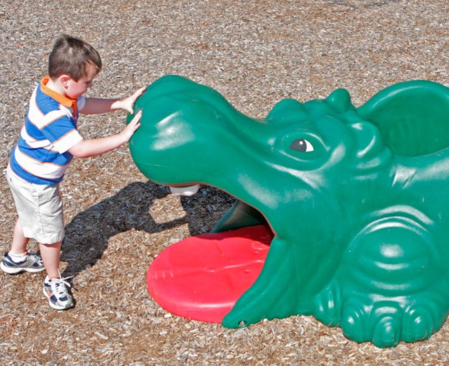 Harry Hipopótamo - Imagen 3